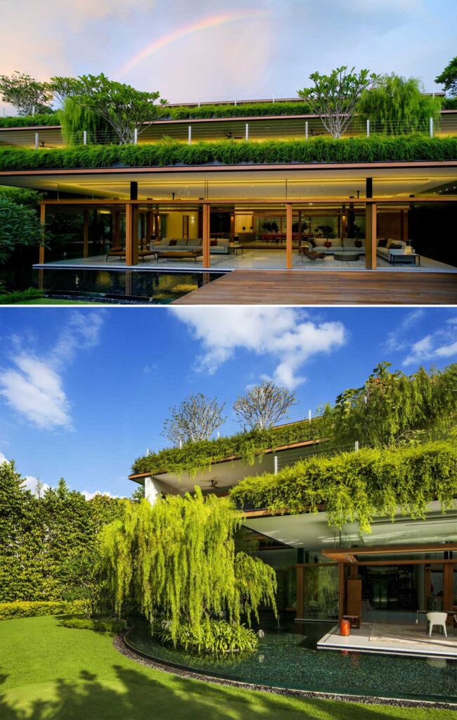 Rooftop Gardens