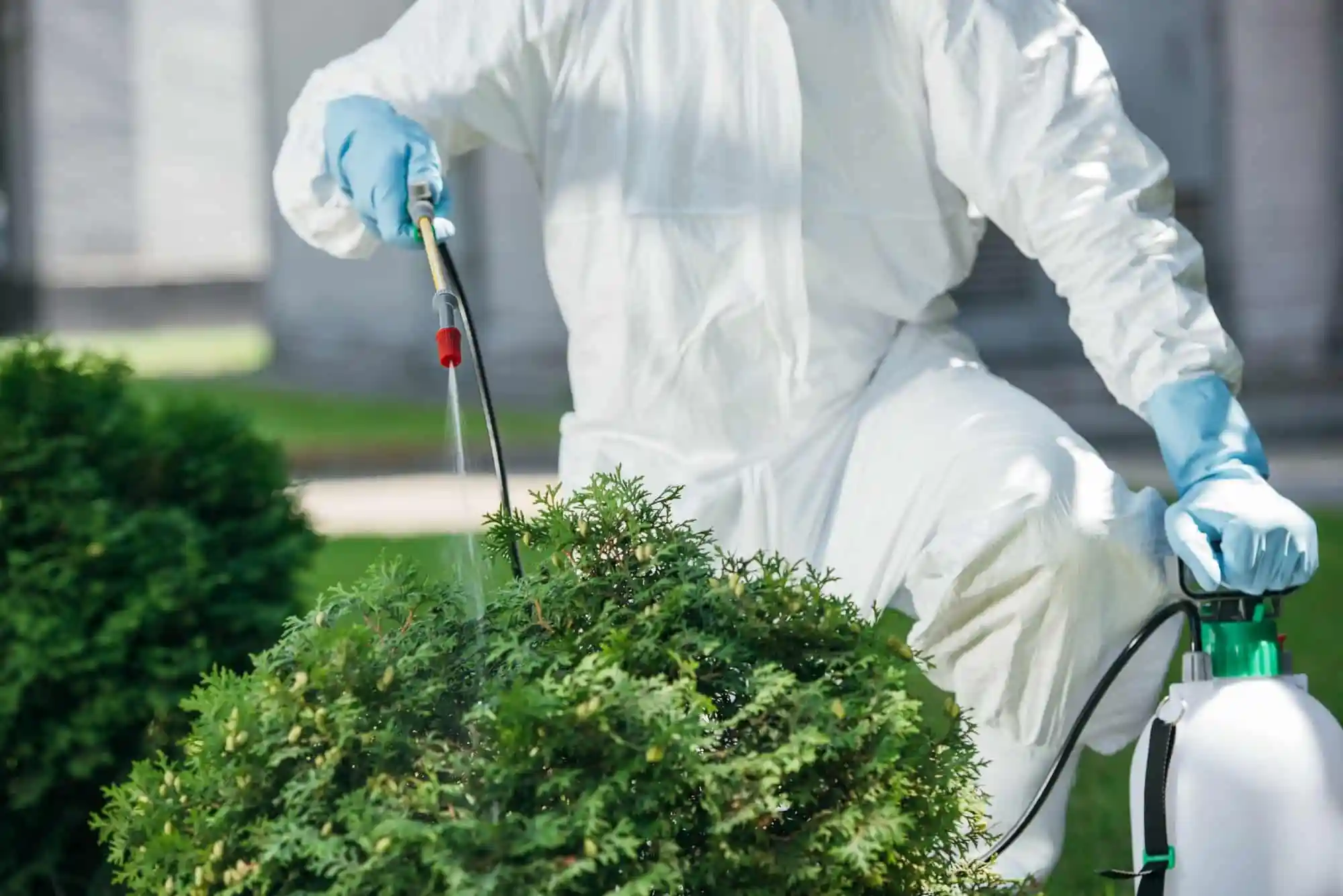 Urban Pest Solutions