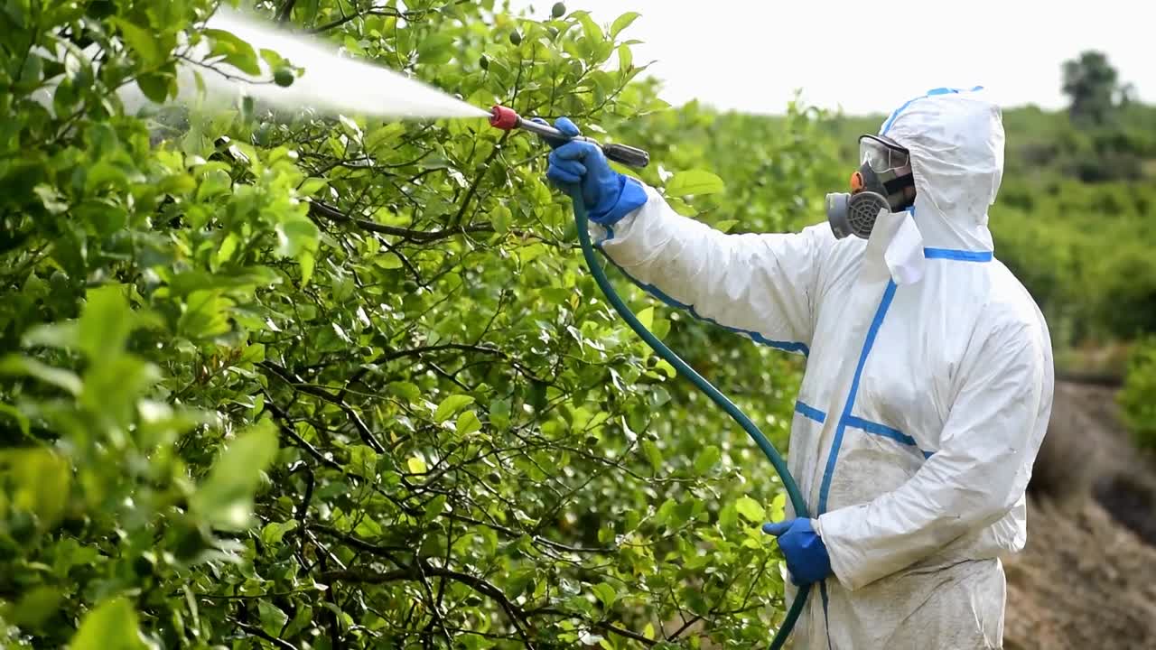 Urban Pest Solutions